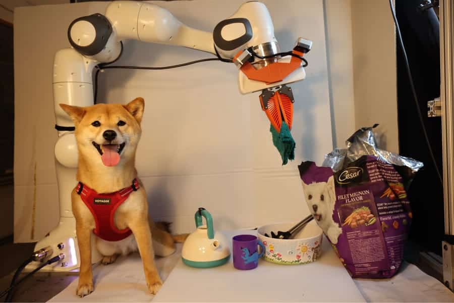 Researchers filmed multiple instances of a robot arm feeding a dog. The videos were included in datasets to train the robot.
