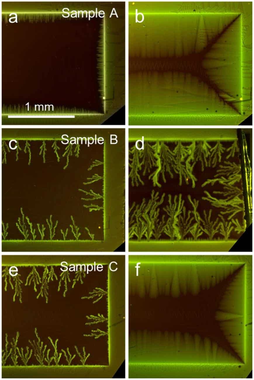 Scientists at Ames Laboratory measured magnetic field lines progressing into niobium films, using magneto-optical spectroscopy.