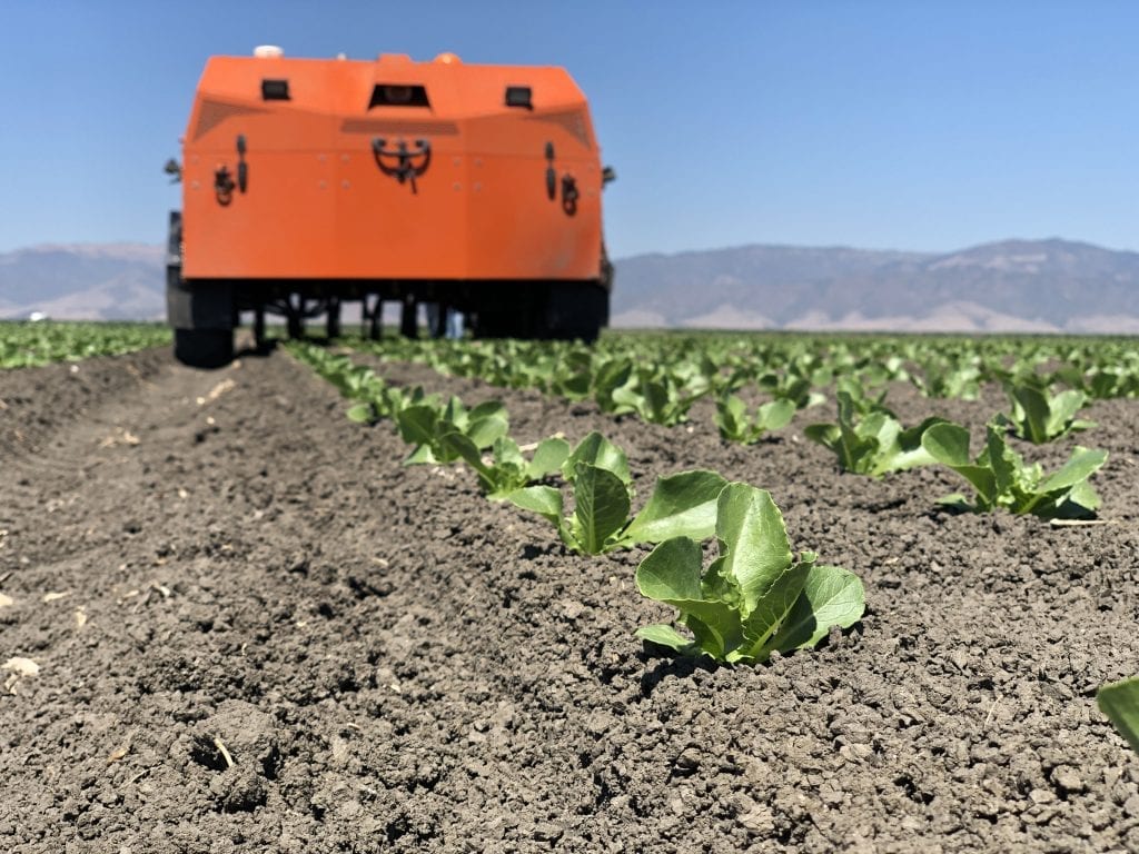 The FarmWise autonomous robots use computer vision and high-precision tools to cleanly pick weeds from fields.
