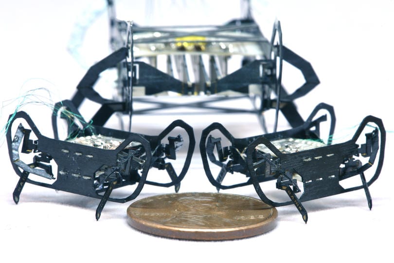 HAMR-JR next-gen cockroach-inspired robot is small but mighty