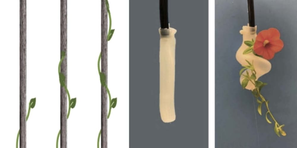 How pole beans inspired this soft robotic gripper