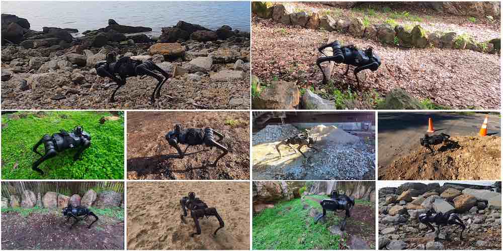 Quadruped learns to adapt to changing terrain in real time