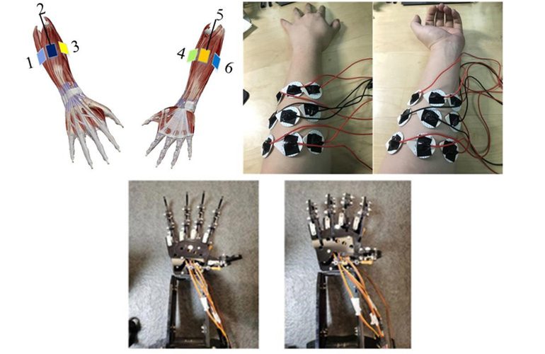 Researchers create new learning model for prosthetic limbs