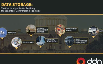 Data Storage: the crucial ingredient to realizing the benefits of Government AI programs
