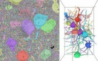 Moving Toward Advances in Brain Mapping Using Exascale Supercomputers