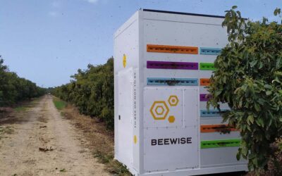 This robotic beehive wants to save the bees
