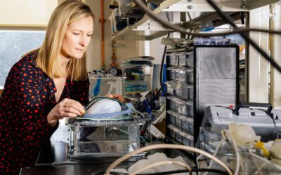 MIT researchers create implantable robotic ventilator