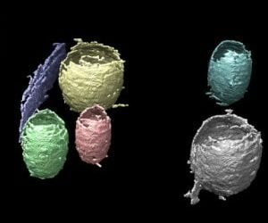 Berkeley Lab Scientists Create ML Pipeline for Interpreting Large Tomography Datasets