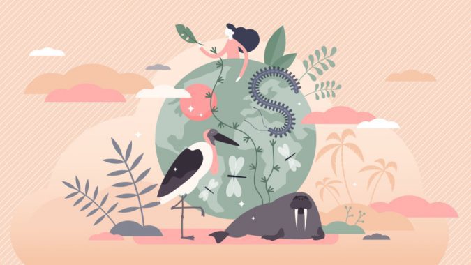 wildlife biodiversity concept