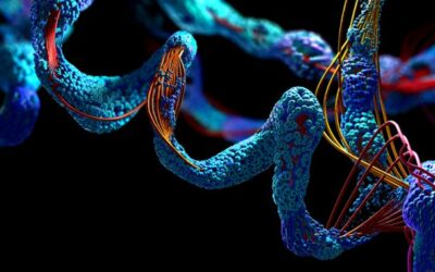 Summit Supercomputer, Deep Learning Power Protein Interaction Prediction