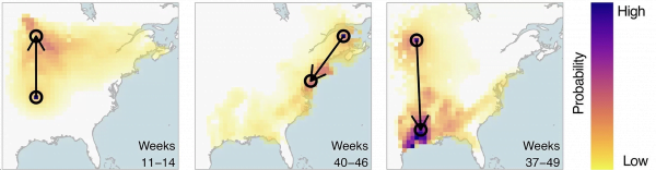 | PACE Engineering Recruiters birdflow