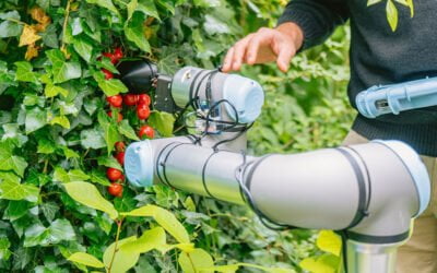Researchers use ChatGPT to make a tomato picking robot
