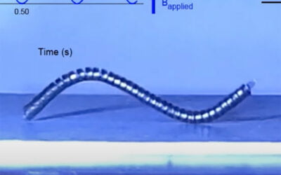 These tiny soft robots can be controlled with weak magnets