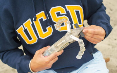 This turtle-inspired robot can dig through sand