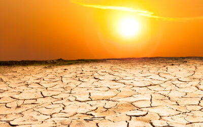 BSC Report: World Must Brace for Surge in Hot and Dry Extreme Weather Events