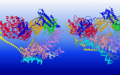Georgia State Researchers Use Summit Supercomputer to Gain New Insights into DNA Repair