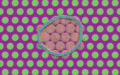 Scientists Use ORNL’s Summit Supercomputer to Learn How Cicada Wings Kill Bacteria