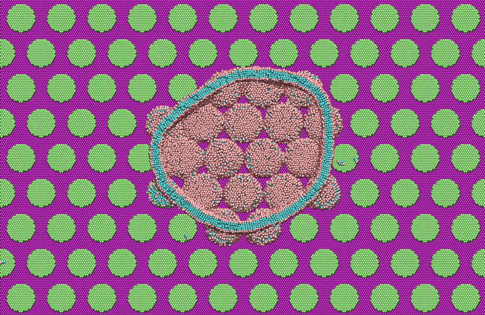 | PACE Engineering Recruiters RNL researchers simulated the nanostructure of a cicada wing like surface to gain insight into its antibacterial abilities Top view cross section simulated lipid bilayer vesicles interact with nanopillars showcasing the lipid arrangement and membrane rupture in high curvature regions