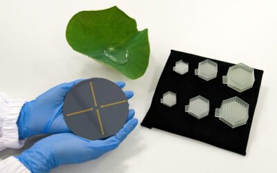 Lotus leaf-inspired sensors can detect minor pressure changes