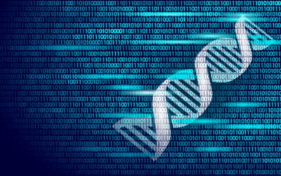 Streamlining Scientific Workflows for Accuracy and Reproducibility