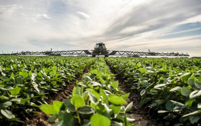 How computer vision increases productivity and sustainability in agriculture