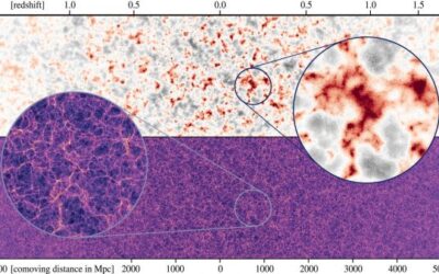 Researchers Peer into Dark Matter with MillenniumTNG Simulation