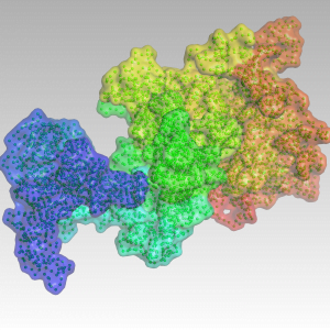 | PACE Engineering Recruiters A single cell 3D simulation of chromatin the structures that make up the chromosome