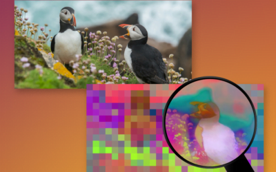 New Algorithm Unlocks High-Resolution Insights for Computer Vision