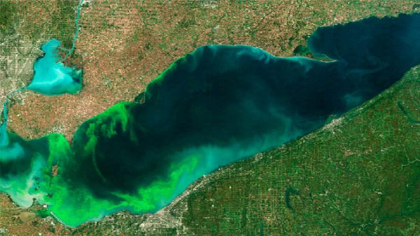 | PACE Engineering Recruiters HABs are a common occurrence in western Lake Erie