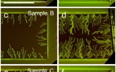 Researchers Advance Understanding of Decoherence in Quantum Circuits