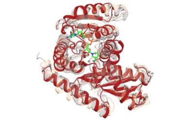 Argonne Team Breaks New Ground in AI-driven Protein Design