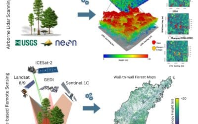 Researchers Awarded $3M NSF Grant for Next-Gen Forest Mapping and Monitoring