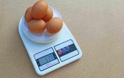 The Weight of the Internet Will Shock You | WIRED