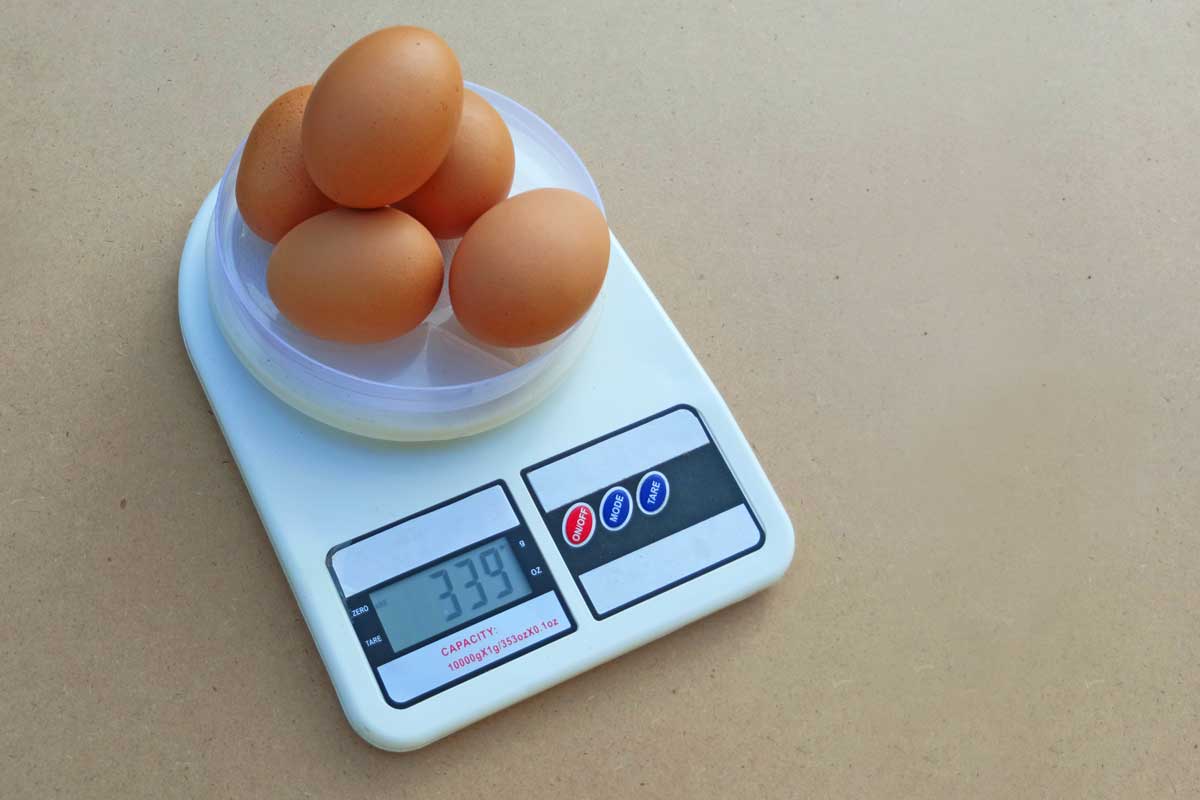 eggs on a scale