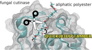 Computer Modeling Using SDSC Software Illustrates Plastic-Degrading Fungus | HPCWire